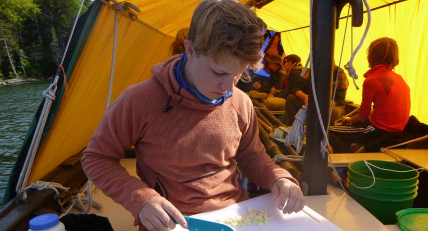 A person sitting under a tarp chops onions. 